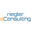 riegler-eConsulting